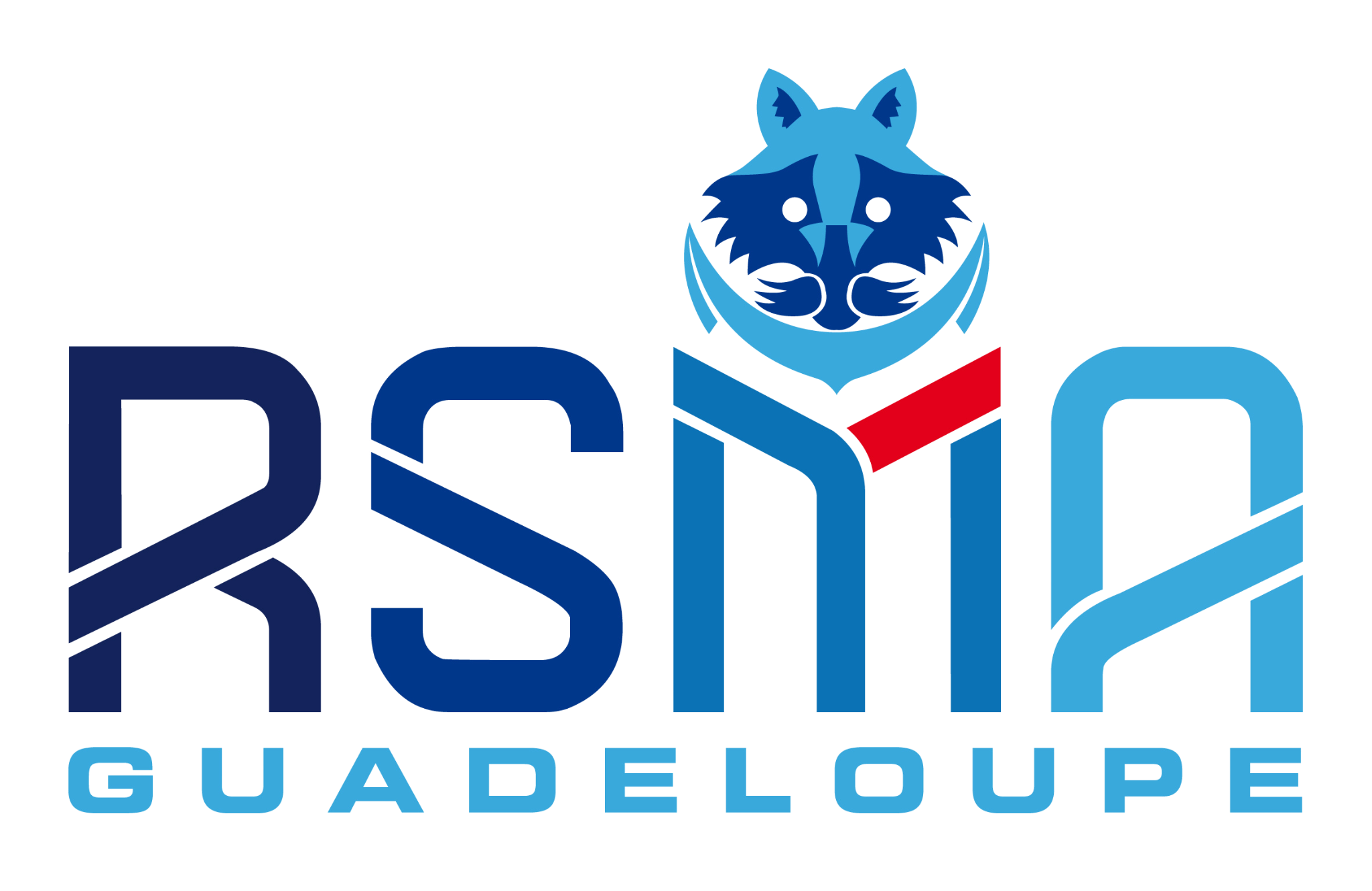RSMA. png